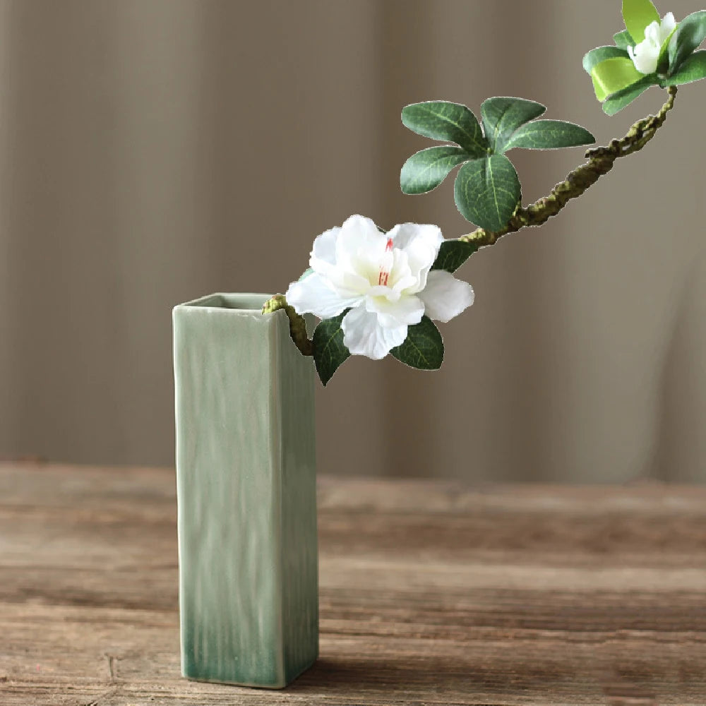 Simple Ceramic Hydroponic Vase β Small Decorative Plant Pot for Living Room & Dining Table