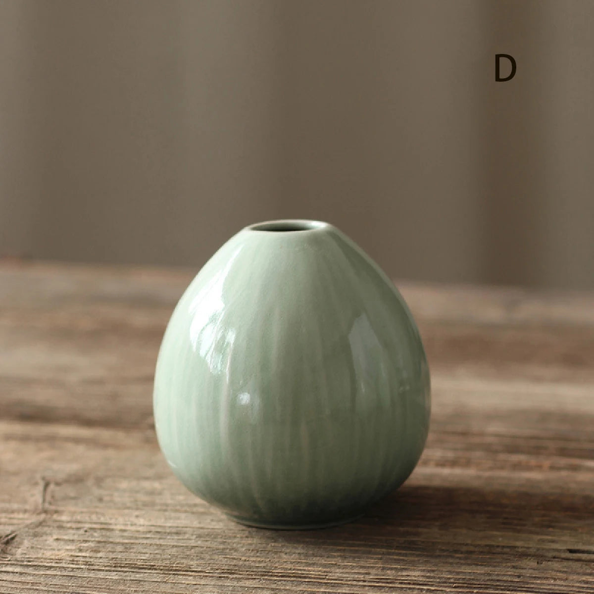 Simple Ceramic Hydroponic Vase β Small Decorative Plant Pot for Living Room & Dining Table