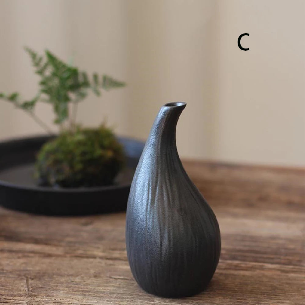 Simple Ceramic Hydroponic Vase β Small Decorative Plant Pot for Living Room & Dining Table
