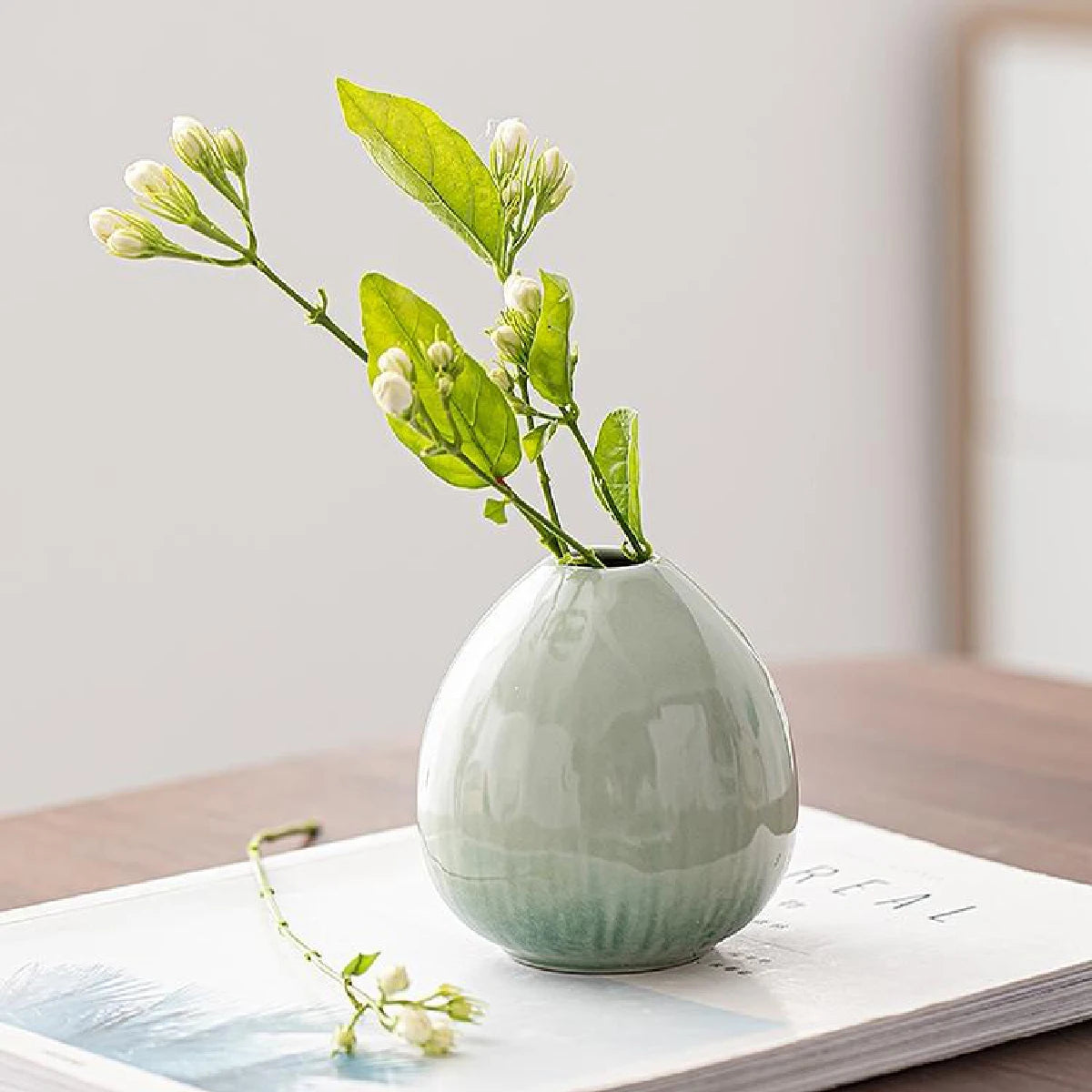 Simple Ceramic Hydroponic Vase β Small Decorative Plant Pot for Living Room & Dining Table
