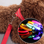 LED Glow Dog Collar