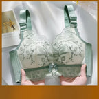 Lace-Trimmed Push-Up Bra