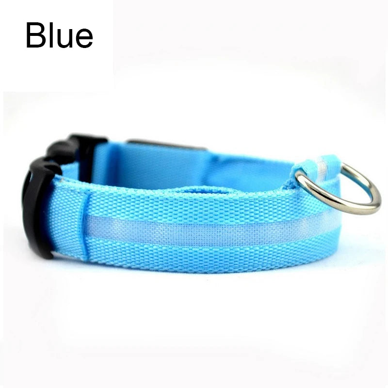 LED Glow Dog Collar