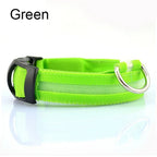 LED Glow Dog Collar