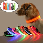 LED Glow Dog Collar