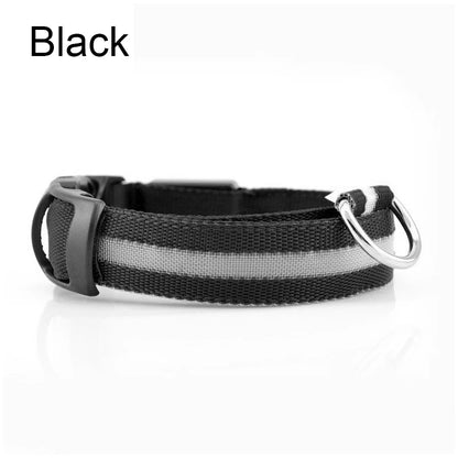 LED Glow Dog Collar