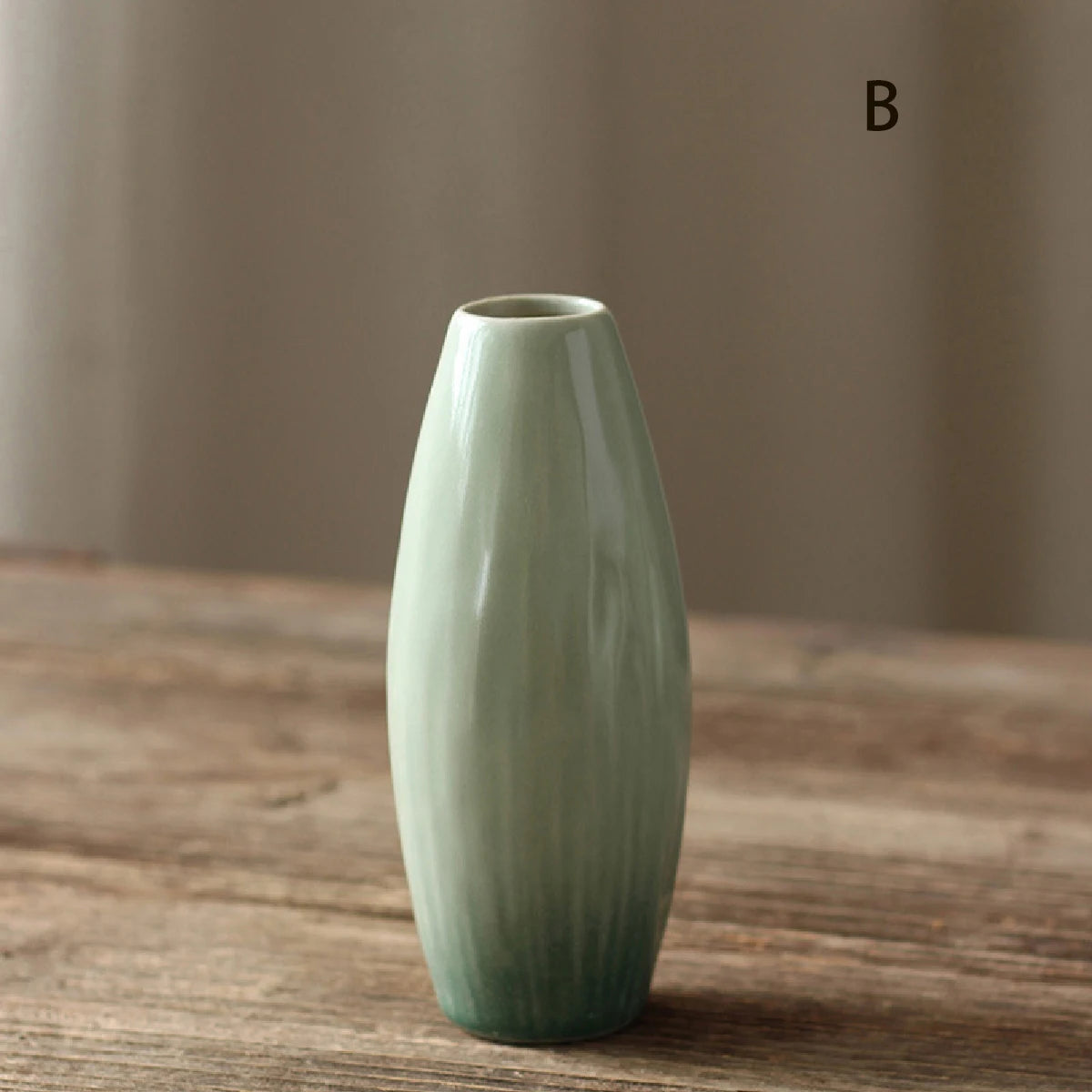 Simple Ceramic Hydroponic Vase – Small Decorative Plant Pot for Living Room & Dining Table