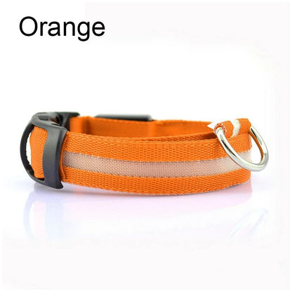 LED Glow Dog Collar
